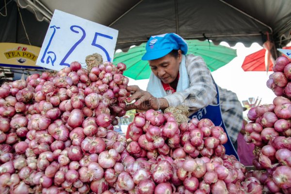 Kraken istand onion ссылка